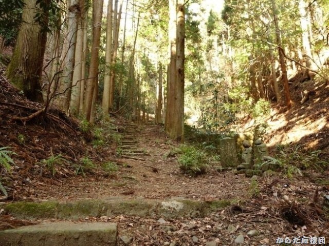 丹沢ハイキングナナメ歩き － 浄発願寺
