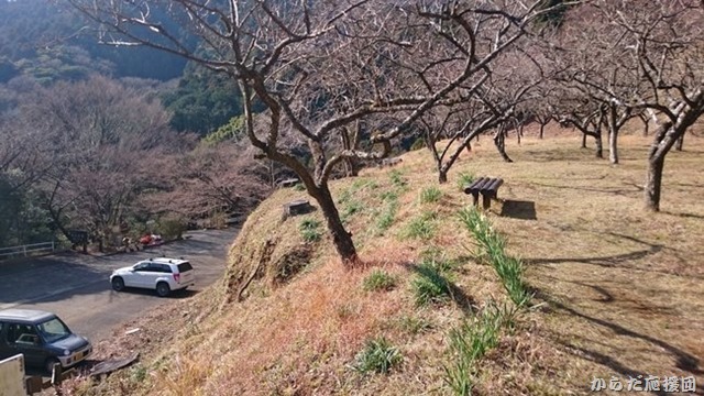 東丹沢ナナメ歩き日向薬師～日向山