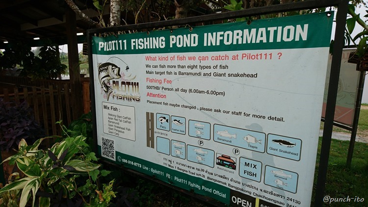 Pilot111 Fishing Pond